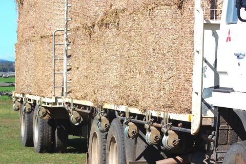 Baled hay or straw