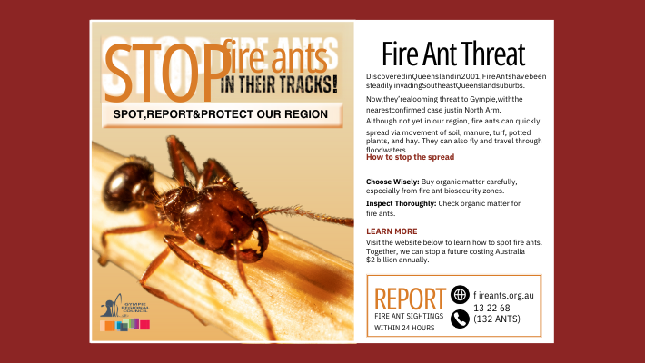Picture of the advertisement placed in the newspaper. Contains a picture of a fire ant close up and other words.