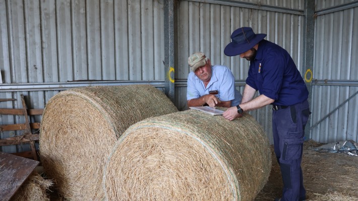 Men filling out documentation leaning on hay bundles