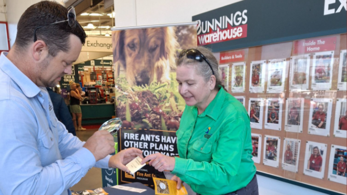 A lady standing in front of a Bunnings sign helping a man with a magnifying glass looking at a fire ant.