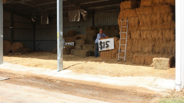 Hay stored in covered area on top of concrete