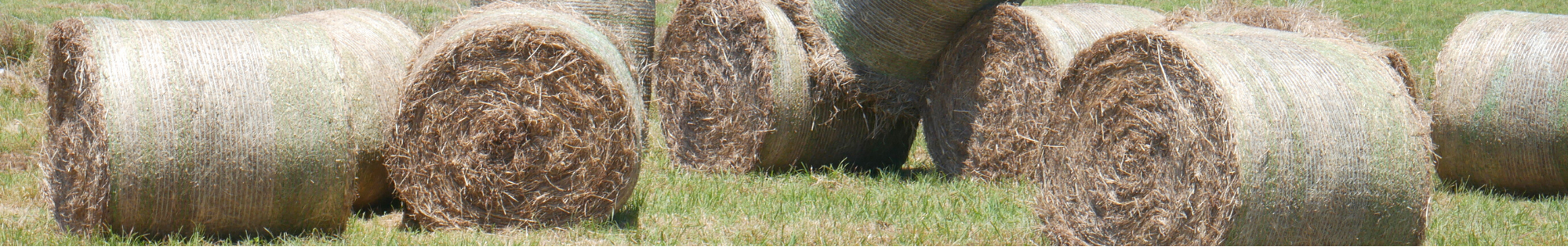 Hay bales in field, baled materials