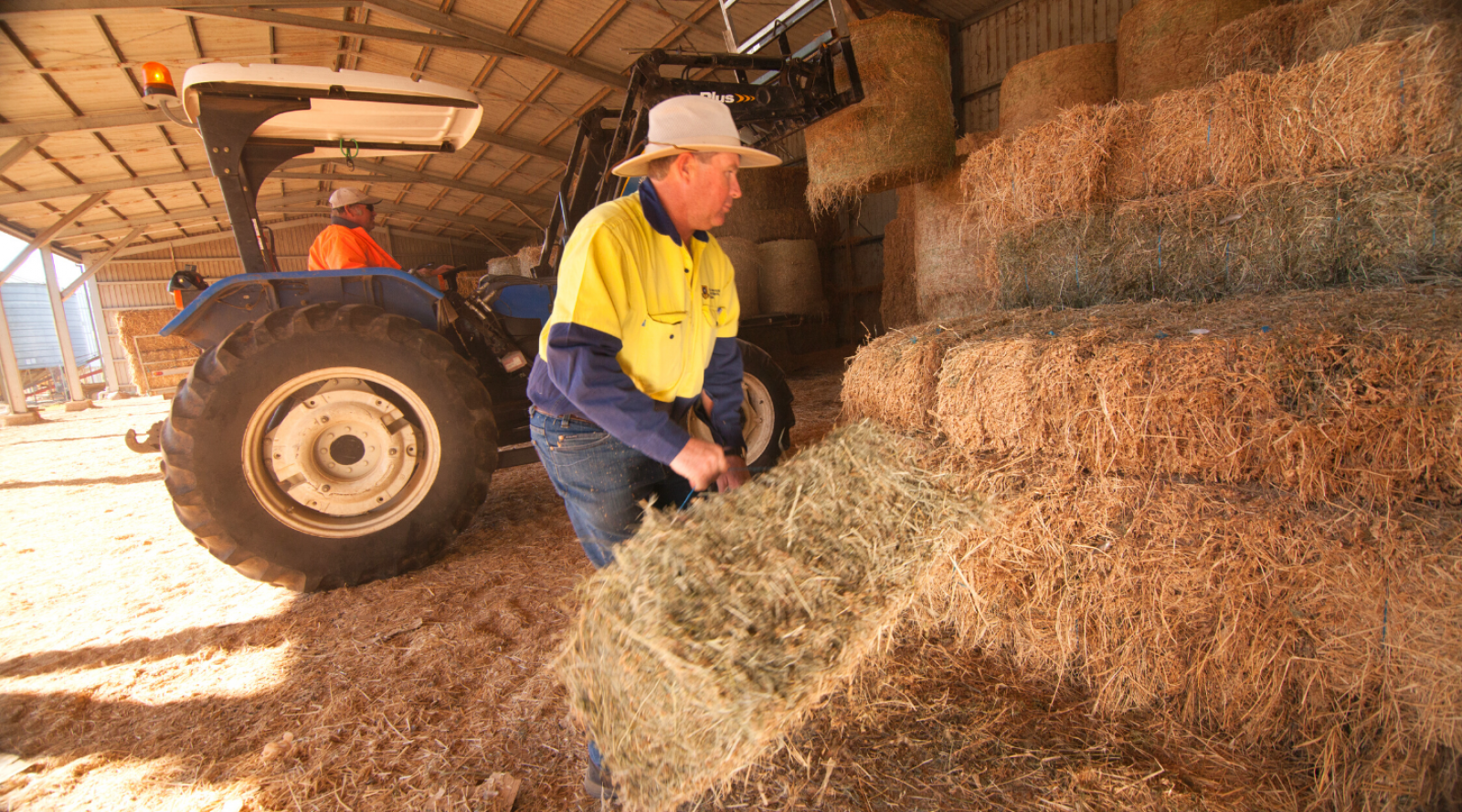 Hay producer, storing hay bales banner image