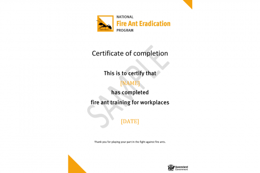Training for workplace sample certificate