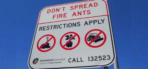What are the current fire ant biosecurity zones