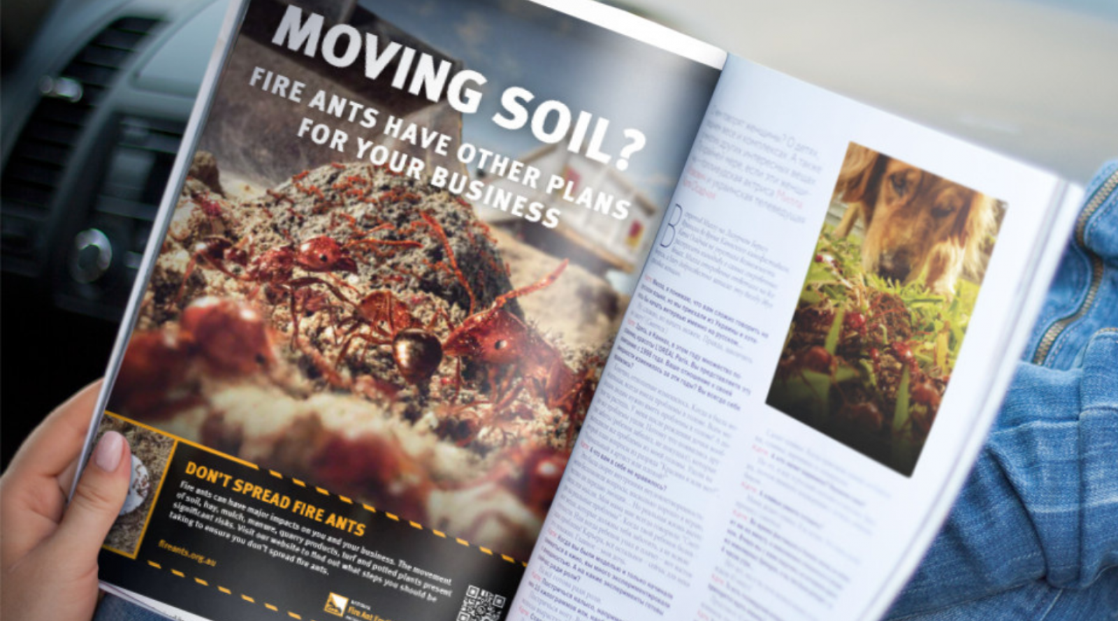 Moving soil advert in magazine, fire ants crawling in soil on construction site. banner image