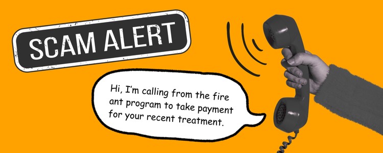Ant Ranch Scam Scam alert: fake fire ant calls | National Fire Ant Eradication Program